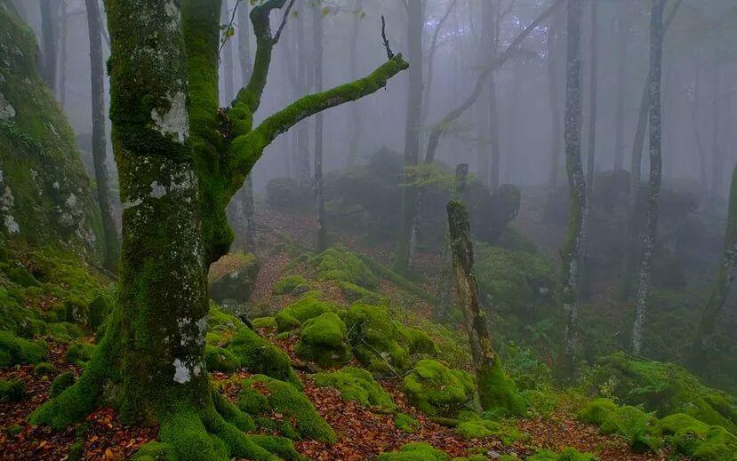 Albergue Armaia Artepea Urzainqui Exteriér fotografie